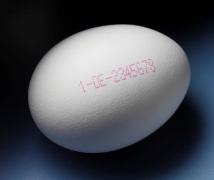 1234123412341 白色蛋壳上的红色数字与字符编码