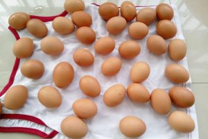 egg00001-300x200 布上摊放的棕色鸡蛋