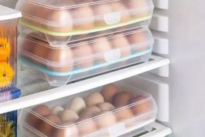 egg00003-300x200 冰箱隔层中的盒装鸡蛋