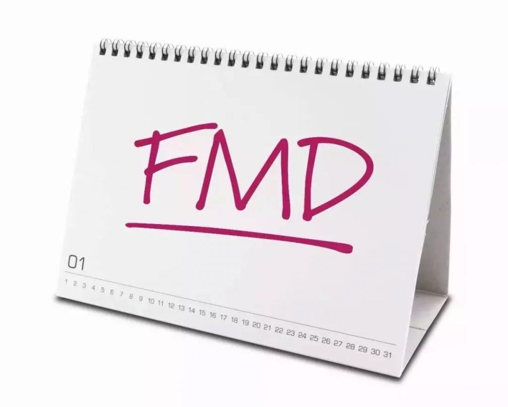 写有FMD字样的台历示意图