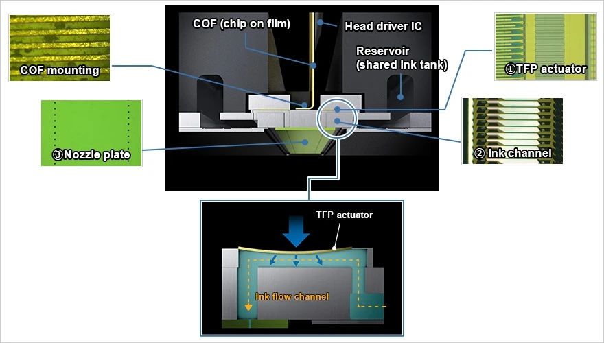打印头剖面与驱动器、墨水通路和喷嘴板放大示意