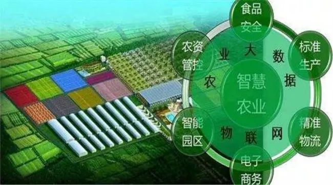 农田布景与智慧农业主题关系图