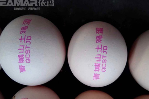 鸡蛋喷码机样品成效