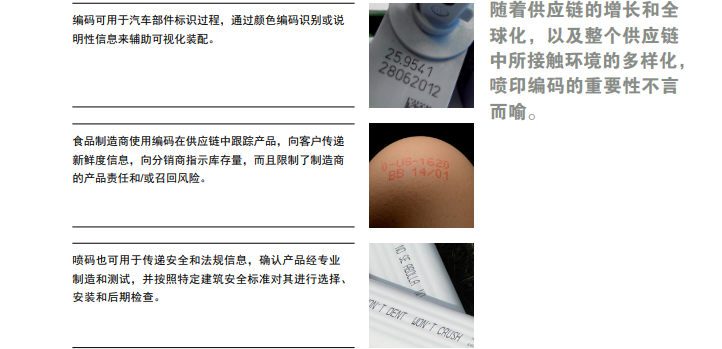 零件、鸡蛋和线缆的字符标识幼图与注明文字